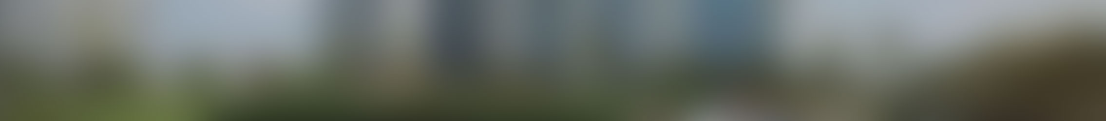 banner-img
